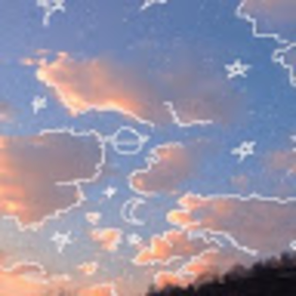 Meet your Posher, Honk